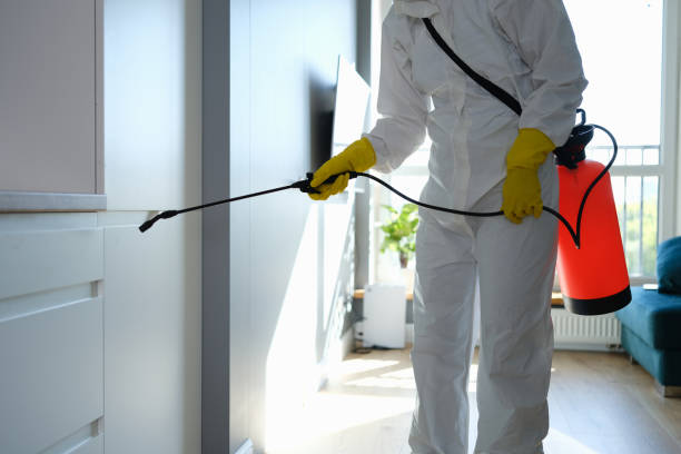 Office Mold Removal Services in Winner, SD